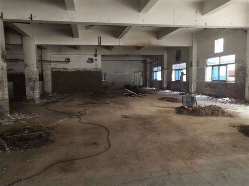 地震无情，数据有心 揭秘开平市幼儿园房屋抗震检测成本的多维考量